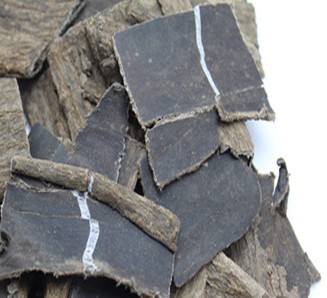 杜仲茶的作用與功效 安神養(yǎng)眠