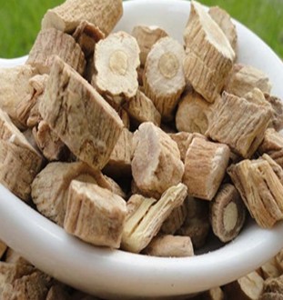 板藍根的副作用 不可超3天連續(xù)服用