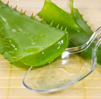蘆薈膠的用法 蘆薈膠的功效與作用