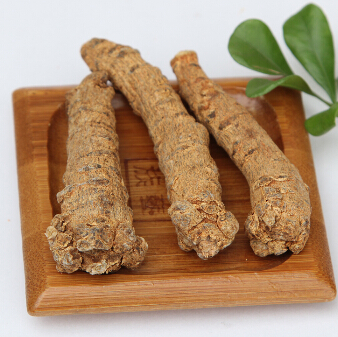 三七粉在本草綱目中記載 能治一切血病