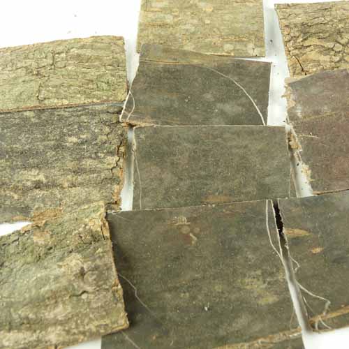 鹽杜仲怎么炮制 鹽杜仲的功效與作用及禁忌