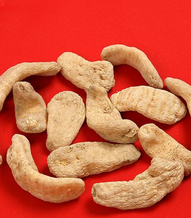 名貴的中藥天麻 中藥材天麻有什么作用