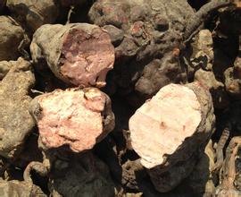 何首烏的功效與作用 何首烏如何治白發(fā)