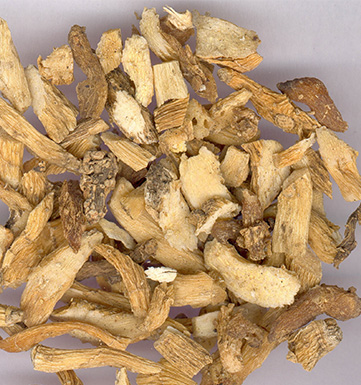 玉竹的功效與作用 玉竹的功效與作用有哪些呢