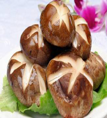 香菇的營養(yǎng)價(jià)值  香菇的功效與作用