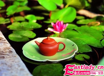 哪些茶有減肥瘦腰效果