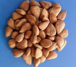 吃不胖的零食，這八種零食可以放心大膽的吃