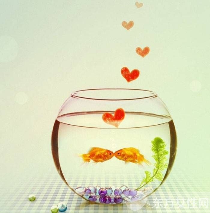 雙子座和什么座最配 這兩個星座和雙子座最不配哦