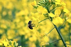 射手座2017年4月運(yùn)勢(shì)詳解