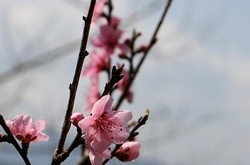 天秤座2017年4月運(yùn)勢(shì)詳解