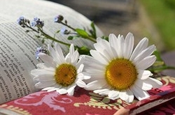 天蝎座清明掃墓禁忌 清明假期這樣過(guò)