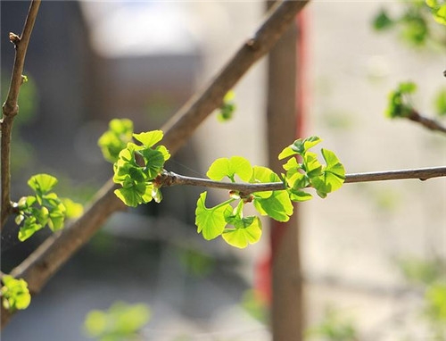 天蝎座2017年4月運勢詳解