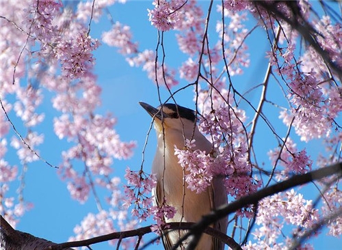 天蝎座2017年4月運勢詳解