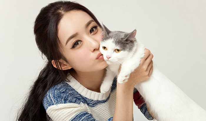 一字眉OUT了！明星教你如何看臉型選“眉”