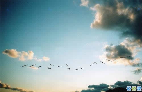 唯美英文勵(lì)志正能量感悟人生的句子和圖片5