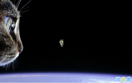 qq空間郁悶說(shuō)說(shuō)配圖傷感：有時(shí)自己也捉摸不透自己7