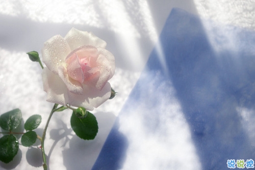 最新有內(nèi)涵的經(jīng)典說(shuō)說(shuō)2019 又好聽又勵(lì)志的微信經(jīng)典說(shuō)說(shuō)1