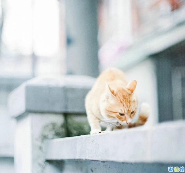 關(guān)于一個人旅行的精辟哲理說說帶圖片 每一次旅行其實都是一場修行7