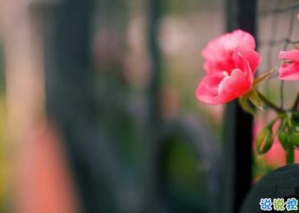 致自己的一句話個性說說帶圖片 想要訴說自己心情的說說2