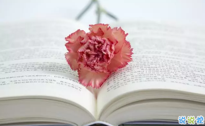 適合發(fā)空間的句子和圖片唯美2018 文藝又唯美的空間句子精選10