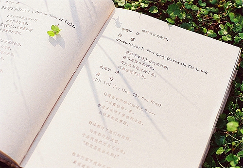 關(guān)于夏天的唯美文藝說(shuō)說(shuō)帶圖片 夏有彤云蔚然成風(fēng)5