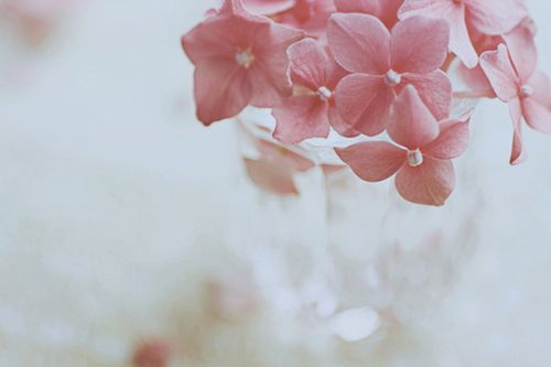 甜甜的適合戀愛中的男生女生發(fā)的說說帶圖片13