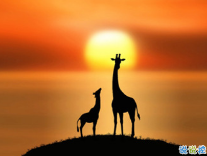 2019復(fù)活節(jié)祝福語(yǔ)英文大全帶翻譯配圖 復(fù)活節(jié)快樂(lè)說(shuō)說(shuō)致所有人5