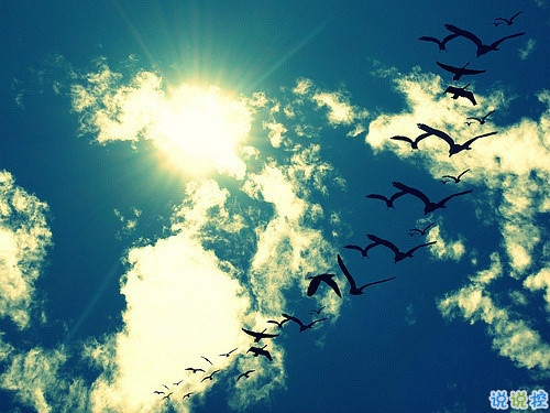 女生個性說說經(jīng)典霸氣帶圖片 知道自己不討喜那就乖一點5