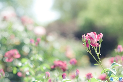 越看越想哭的專屬傷感說(shuō)說(shuō)精選帶圖片 傷了累了倦了不愛(ài)了的男生說(shuō)說(shuō)6
