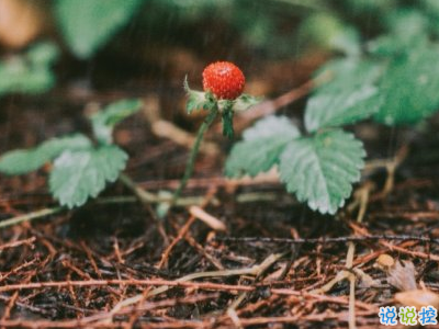2019谷雨發(fā)微信短信的祝福語(yǔ)合集 谷雨節(jié)氣送祝福說(shuō)說(shuō)2