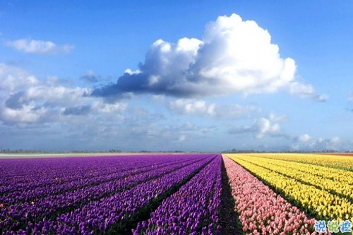 2019女生節(jié)微信說(shuō)說(shuō)大全帶圖片 三七女生節(jié)朋友圈祝福語(yǔ)說(shuō)說(shuō)9