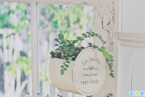 只想說給你聽的小情話帶圖片 你笑時(shí)雷聲溫柔暴雨無聲8