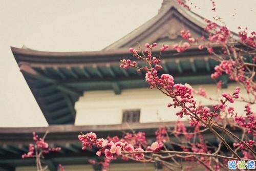 比較特別的女生說(shuō)說(shuō)2019精選帶圖片 忍不住想點(diǎn)贊的女生說(shuō)說(shuō)12