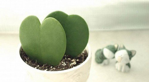 關(guān)于愛情的傷感難過(guò)句子帶圖片 我們兩個(gè)之間的進(jìn)度條可能也就只到這里了吧12