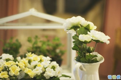 2019情人節(jié)朋友圈說(shuō)說(shuō)心情短語(yǔ) 抖音最火情人節(jié)說(shuō)說(shuō)大全2