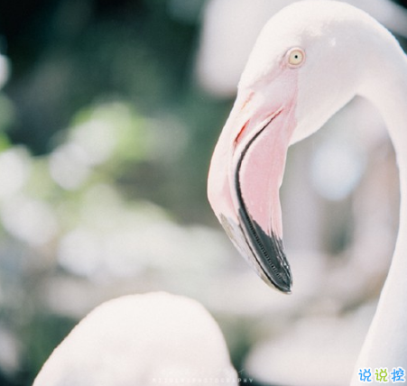 表示無聊的朋友圈說說帶圖片：無聊，是人生的一種正常現(xiàn)象6