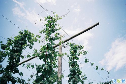 唯美簡單的愛情說說帶圖片 去見你想見的人吧5