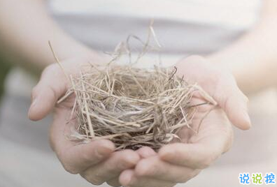 小清新的早安心語帶圖片：最美好的不是未來，是今天12