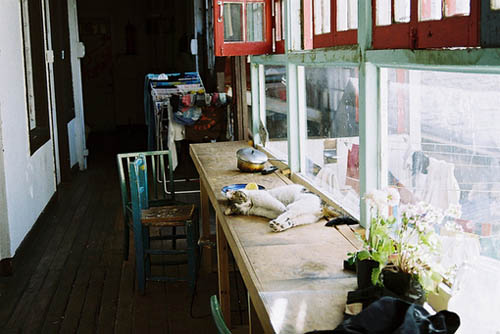 唯美浪漫的說說帶圖片 最美好的事情就是抬頭遇見了你3