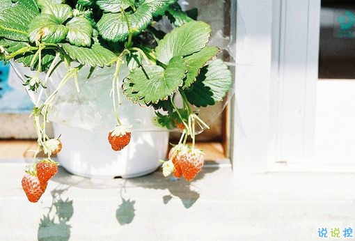 抖音上關(guān)于時(shí)間流逝的傷感句子大全 時(shí)間飛逝的傷感句子2018超經(jīng)典2