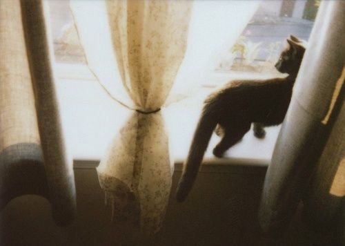 關(guān)于愛(ài)情的有些傷感難過(guò)的說(shuō)說(shuō)帶圖片 遇你之后步步都難走14