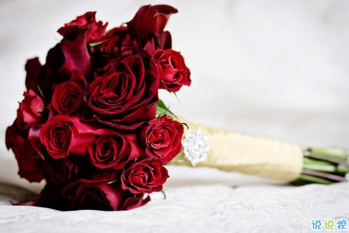 對愛一往情深的經(jīng)典說說帶圖片 文藝愛情小短句表達愛意3