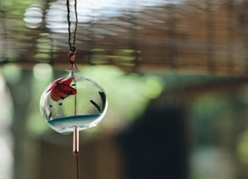 關(guān)于愛(ài)情的有些傷感難過(guò)的說(shuō)說(shuō)帶圖片 遇你之后步步都難走12