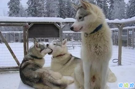 很有內(nèi)涵的搞笑說說圖片最新版 有意思的內(nèi)涵段子說說1