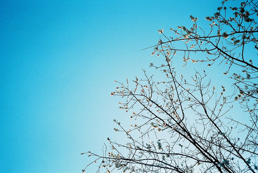 愛情中的孤獨寂寞說說 每個人都曾在愛情中流淚的傷感說說2