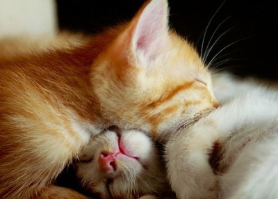 文藝說說帶圖片5