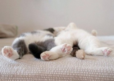 情感說說帶圖片6