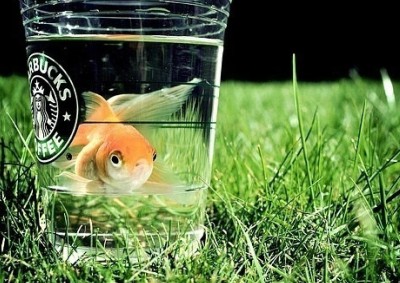 說說心情短語帶圖片2