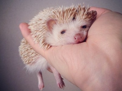 說說心情短語帶圖片5