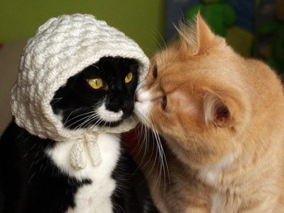 甜蜜說(shuō)說(shuō)帶圖片6